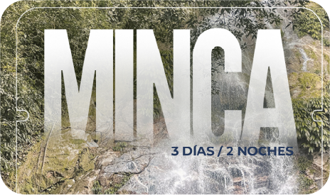 Minca